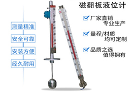 頂裝式磁翻板液位計(jì)