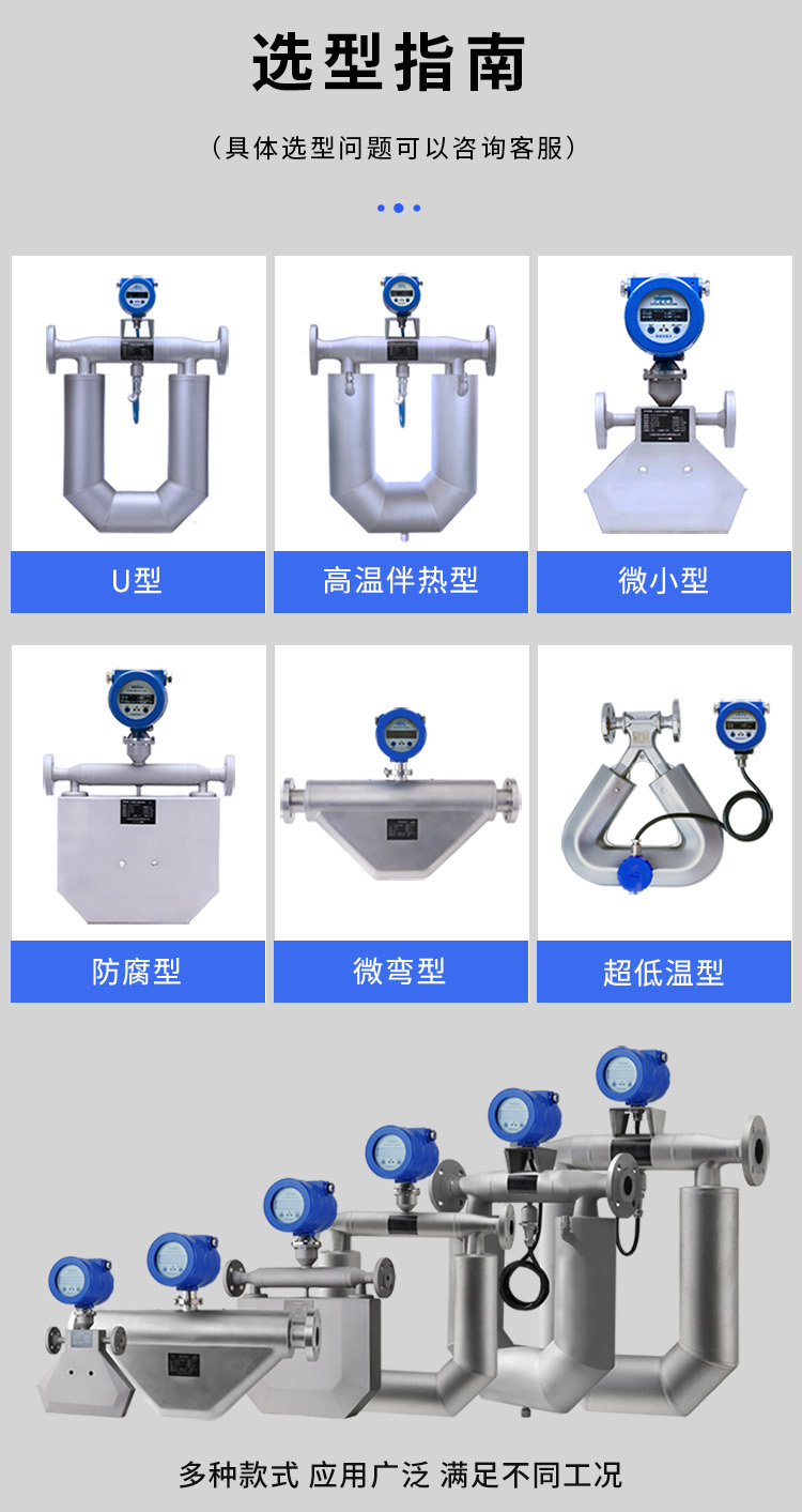 數(shù)顯質(zhì)量流量計產(chǎn)品分類圖