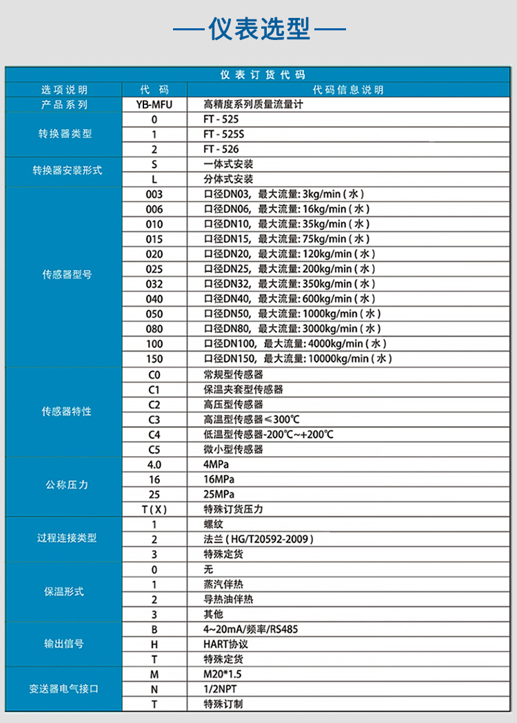 防腐質(zhì)量流量計(jì)選項(xiàng)表