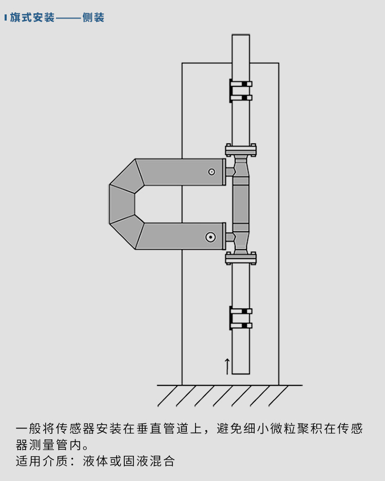 防腐質(zhì)量流量計(jì)垂直安裝示意圖